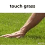 grass