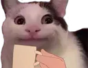 FJ_sip