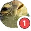 tortleping