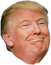 Trump Happy Discord Emoji