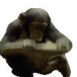 874538023335919636.gif