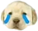Sadd