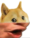 dogechamp Discord Emoji