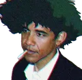 spikeobama