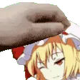 flanPat4