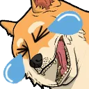 rofldoge