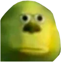 4379_ShrekStare