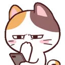 meonghmm