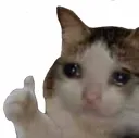 emoji_37