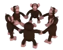 monkespin