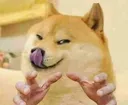 DogeYum