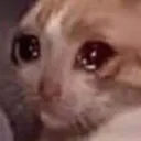 Cat Sad Cat_Sad Discord Emoji