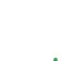 BorpaArrive