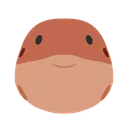 blowfish_front