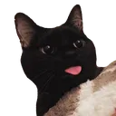 rcon_tongueoutcat