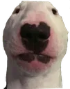 Bruh