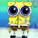 sponge