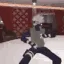slowdancy