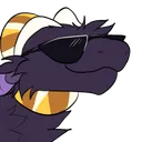 mira_shades