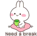 zz_break