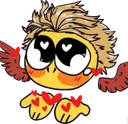 hawkslove