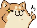 corgi