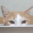 jrel_peek
