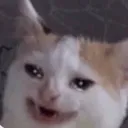 catcry Discord Emoji