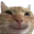 K_cathappy K_cathappy