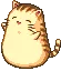 dorjclap