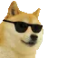 CoolDoge