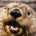otterpog Discord emoji