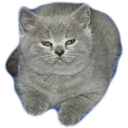 oneofthem