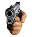 GUN