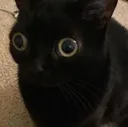 cooper2