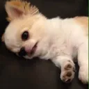 8eryTPf