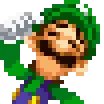 LuigiDumb