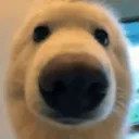 flooftwt
