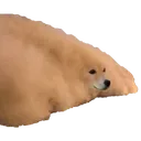 The_Dogening