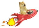 DogeRocket