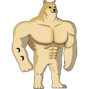 DOGE_Swole