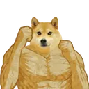 Much_Swole