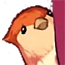 Bird_Peeking