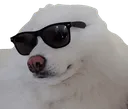 coolted