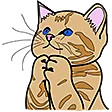 z_kittybegplease