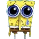 spong spong