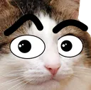stareeyebrows Discord Emoji