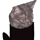 LURlokigomeow Discord Emoji