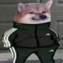 saddog
