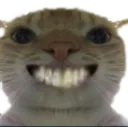 catSmile